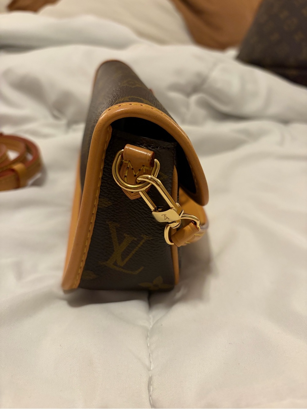 Louis Vuitton Monogram Nano Diane - Picture 8 of 13
